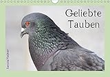 Geliebte Tauben (Wandkalender 2018 DIN A4 quer): Ausdrucksvolle Momente wunderschöner Stadttauben (Monatskalender, 14 Seiten ) (CALVENDO Tiere) [Kalender] [Apr 01, 2017] Meißner, Ramona by 