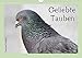 Geliebte Tauben (Wandkalender 2018 DIN A4 quer): Ausdrucksvolle Momente wunderschöner Stadttauben (Monatskalender, 14 Seiten ) (CALVENDO Tiere) [Kalender] [Apr 01, 2017] Meißner, Ramona by 