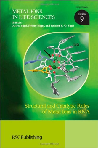 Structural and Catalytic Roles of Metal Ions in RNA gratuit Structural and Catalytic Roles of Metal Ions in RNA gratuit