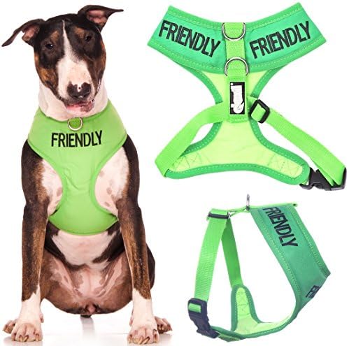 FRIENDLY (Known as Friendly to all) Green Colour Coded Non-Pull Front and Back D Ring Padded and Waterproof Vest Dog Harness PREVENTS Accidents By Warning Others Of Your Dog In Advance (L)