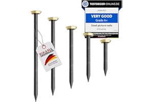 RIKAMA ONLINEVERSAND AUS EINER HAND RIKAMA Lot de 50 clous en acier pour tableaux 10 x 20 mm, 25 mm, 30 mm, 40 mm, 50 mm pour béton, brique, plâtre et bois, fabriqués en Europe (doré avec support)