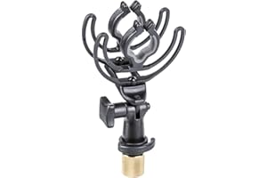 RYCOTE INV-6 (2 X 19-25 MM CLIPS con ESTÁNDAR LYRES BARRA ESTÁNDAR)