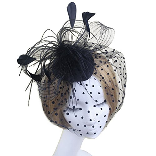 Preisvergleich Produktbild WINOMO Elegante Frauen Braut Hochzeit Feder Mesh Haarschmuck Fascinator Schleier Haarreif Haar Clip Cocktail Hut Derby Hut