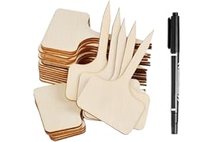 LAHVIUU Etiquettes de Plantes,30 pcs Pancarte en Bois Plante Tags T-Type Jardin Marqueurs Étiquette de Jardin Garden Etiquettes Signes Pancarte Potager,pour Fleur Légumes Graine Jardin Pépinière