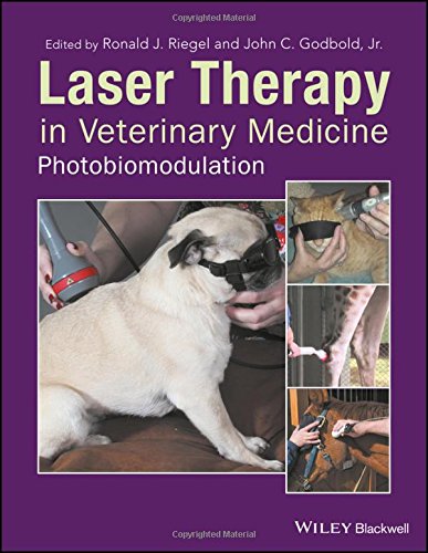 Preisvergleich Produktbild Laser Therapy in Veterinary Medicine: Photobiomodulation