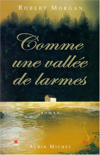 couverture de : Comme une vall&eacute;e de larmes