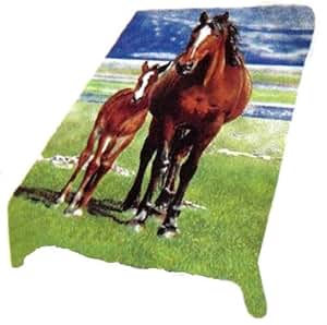 Decke mit Pferdemotiv NEU: Amazon.de: Küche & Haushalt