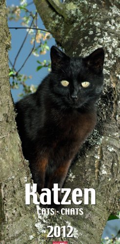 Katzen 2012