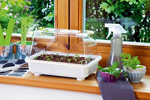 Romberg 72129 P Zimmer-Gewächshaus „Aromatic“ - 2