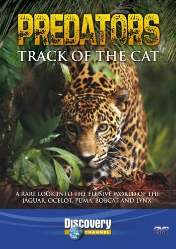 Preisvergleich Produktbild Predators: Track Of The Cat [DVD]