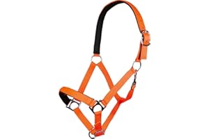 HKM Stars Softice - Cavezza Neon One Size