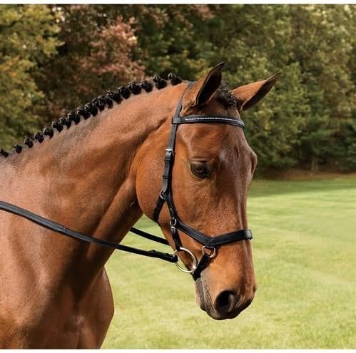 Micklem Competition Diamond Bridle Black Small Horse by Micklem