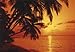 Produktbild Fototapete (97276)- SUNSET in the SOUTH SEAS -Größe 350x260 cm in 7 BAHNEN; 50cm Breite x 260cm Höhe -hoch qualitativer fotorealistischer DIGITALDRUCK! Sonnenuntergang Südsee Sunrise Sonne Meer Karibik Palmen Palmenstrand Strand Afrika Wasser Himmel Günstig Zimmer - Motivtapete Postertapete Bildtapete Großformat Riesenposter Wall Mural