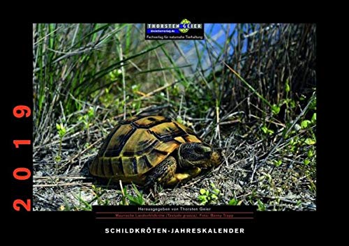 Schildkröten-Jahreskalender 2019: Herausgegeben von Thorsten Geier