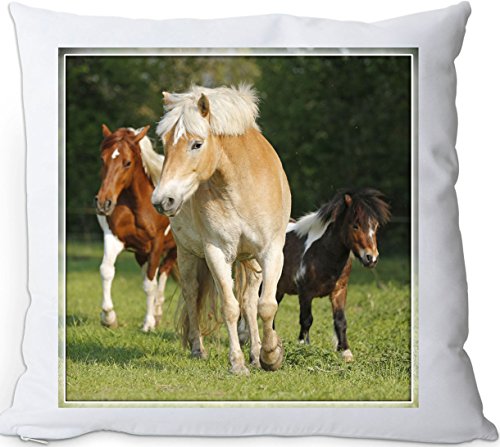 +++ HAFLINGER Pferd - Kuschelkissen/KISSEN | PILLOW/Dekokissen - HFL 80