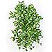 Produktbild artplants - Künstliche Pothos Ranke RAHU, 560 Blätter, grün-gelb, 55 cm - Deko Efeutute Hänger / Kunstpflanzen Busch