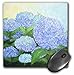 Produktbild Lackieren von Periwinkle blau Hortensien – Maus Pad, 8 von 20,3 cm (MP _ 59780 _ 1)
