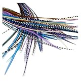 Zum Anbringen & Entfernen kann zu Hause gemacht werden in einer Angelegenheit von Minuten 