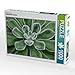 Produktbild CALVENDO Puzzle Sukkulenten Galerie 1000 Teile Lege-Größe 64 x 48 cm Foto-Puzzle Bild von Beate Wurster
