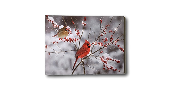 Kardinal Leinwanddruck Led Beleuchteter Druck Mit Kardinalen Und Beeren Winterszene Amazon De