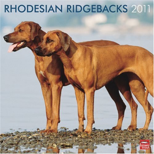 Rhodesian Ridgebacks, Broschürenkalender 2011