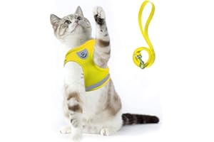 Supet Imbracatura per Gatti con Guinzaglio Gilet Riflettente in Nylon Morbido per Cani da Passeggio per Cani da Corsa Adatto a Gatti, Cuccioli, Piccoli Animali Domestici