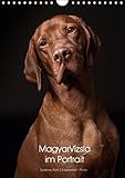 Magyar Vizsla im Portrait (Wandkalender 2017 DIN A4 hoch): Der Magyar Vizsla im Portrait. Jeden Monat ein neues, schönes Portrait dieser tollen Jagdhunde. (Monatskalender, 14 Seiten) (CALVENDO Tiere) by
