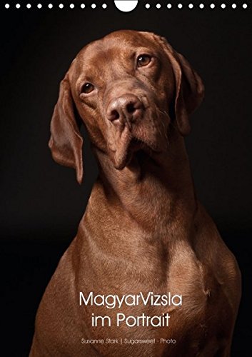 Magyar Vizsla im Portrait (Wandkalender 2017 DIN A4 hoch): Der Magyar Vizsla im Portrait. Jeden Monat ein neues, schönes Portrait dieser tollen Jagdhunde. (Monatskalender, 14 Seiten) (CALVENDO Tiere)