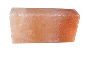 HIMALAYA SALT DREAMS Salzkristall Mauerstein/Ziegel ca. 5 x 10 x 20 cm, Kristallsalz aus Punjab/Pakistan, Orange, 20 x 10 x 5 cm