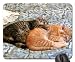 Produktbild naptime Mouse Pad, Mousepad (Cats Mouse Pad)