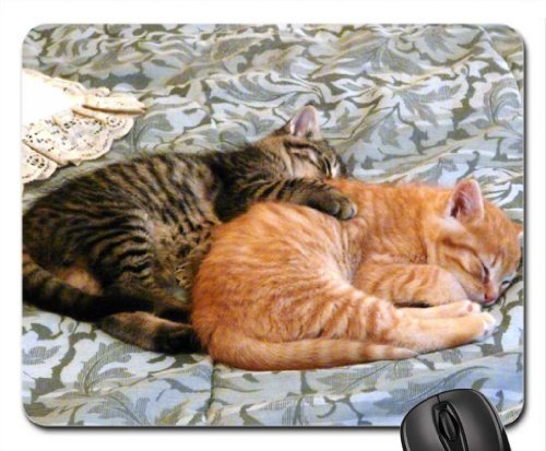 Preisvergleich Produktbild naptime Mouse Pad, Mousepad (Cats Mouse Pad)