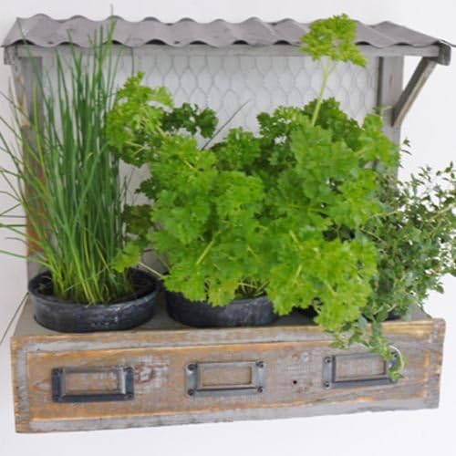 Wooden Vintage Style Rustic Natural Wood Flower Herb Planter Wall Mounted or Free Standing