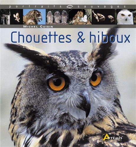 Chouettes & hiboux en ligne Chouettes & hiboux en ligne