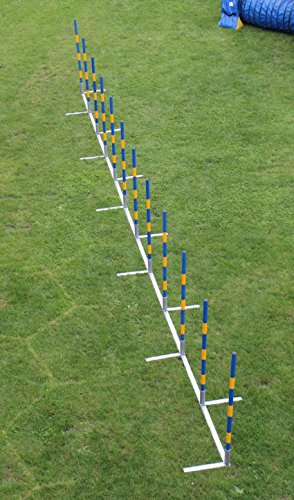 Introductory-offer-dog-agility-weave-poles-12X60cm-straight-weaves-for-training-and-kennel-club-competition