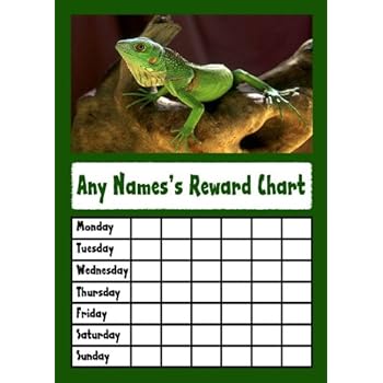gold star sticker reward chart amazoncouk office products