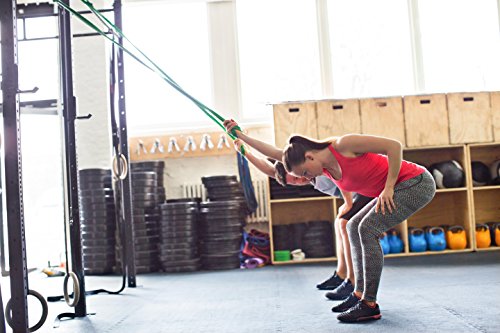 Resistance Band / Fitnessband / XS,S,M,L,XL Widerstand-Bänder / Trainingsbänder / Trainingsband / Übungsband / Gymnastikband / Expander / Tubing / Loop / Push Up Band - 7