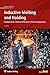 Produktbild Inductive Melting and Holding: Fundamentals / Plants and Furnaces / Process Engineering (Edition heat processing)