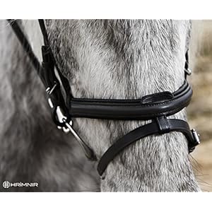 Engl. kombinierter Nasenriemen Flash von Hrimnir