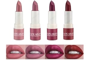 BELIKY GIRL Lápiz labial mate resistente al agua, lápiz labial hidratante de larga duración, lápiz labial Sexy de terciopelo rojo rosa, lápiz labial desnudo, lápiz labial cosmético para mujer (Set B)
