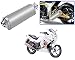 Auto Pearl Premium Quality High Performance Bike Exhaust Muffler Silencer Triangle Silver For - Hero MotoCorp Karizma ZMR RS.2899.00
