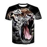 Mode-stilvollen Entwurf, ideal für alle Arten von Bewegung, Outdoor-Reise oder einfach nur entspannen und so weiter