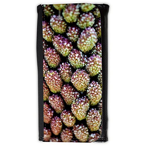 Preisvergleich Produktbild Portemonnaie Geldbörse Brieftasche / / M00159071 Pflanze Makro Garten Dekoration Natur / / Large Size Wallet