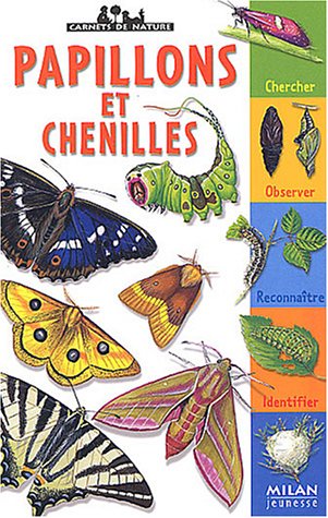 <a href="/node/419">Papillons et chenilles</a>