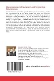 Image de Mecanismos de Fisuracion En Pavimentos Bituminosos