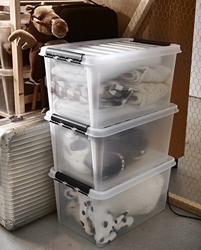 Orthex 3476070 Clipbox Smart Store Classic, 45 L Volumen, 60 x 40 x 31 cm, transparent - 3