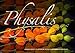 Emotionale Momente: Physalis. (Posterbuch DIN A2 quer): Eine zauberhafte Blume in zauberhaften Bildern vom renommierten Naturfotografen Ingo Gerlach. ... [Taschenbuch] [Sep 21, 2013] Gerlach, Ingo by Ingo Gerlach