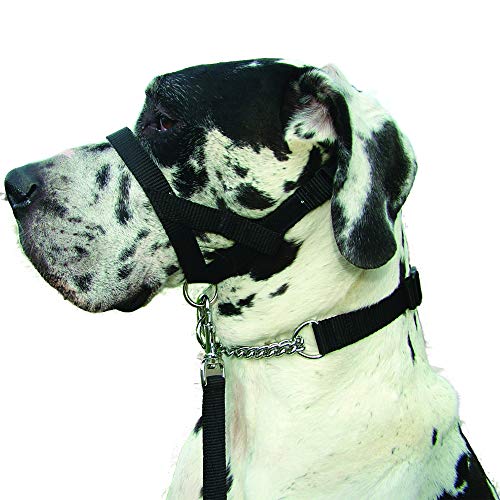 Kumfi Canine Kumfi Dogalter Size XL