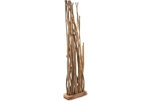‎DESIGN DELIGHTS DESIGN DELIGHTS Äste RAUMTEILER Botanic | Teak Holz,170cm | Paravent, Holz Trennwand, Sichtschutz, Zweige Dekoobjekt, Raumtrenner, Teak Äste Dekoobjekt
