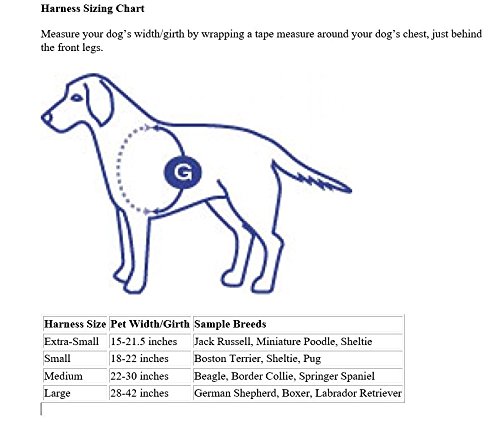 PetSafe-EasySport-Harness