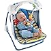 Fisher-Price Deluxe Take-Along Swing